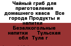 Чайный гриб для приготовления домашнего кваса - Все города Продукты и напитки » Безалкогольные напитки   . Тульская обл.,Тула г.